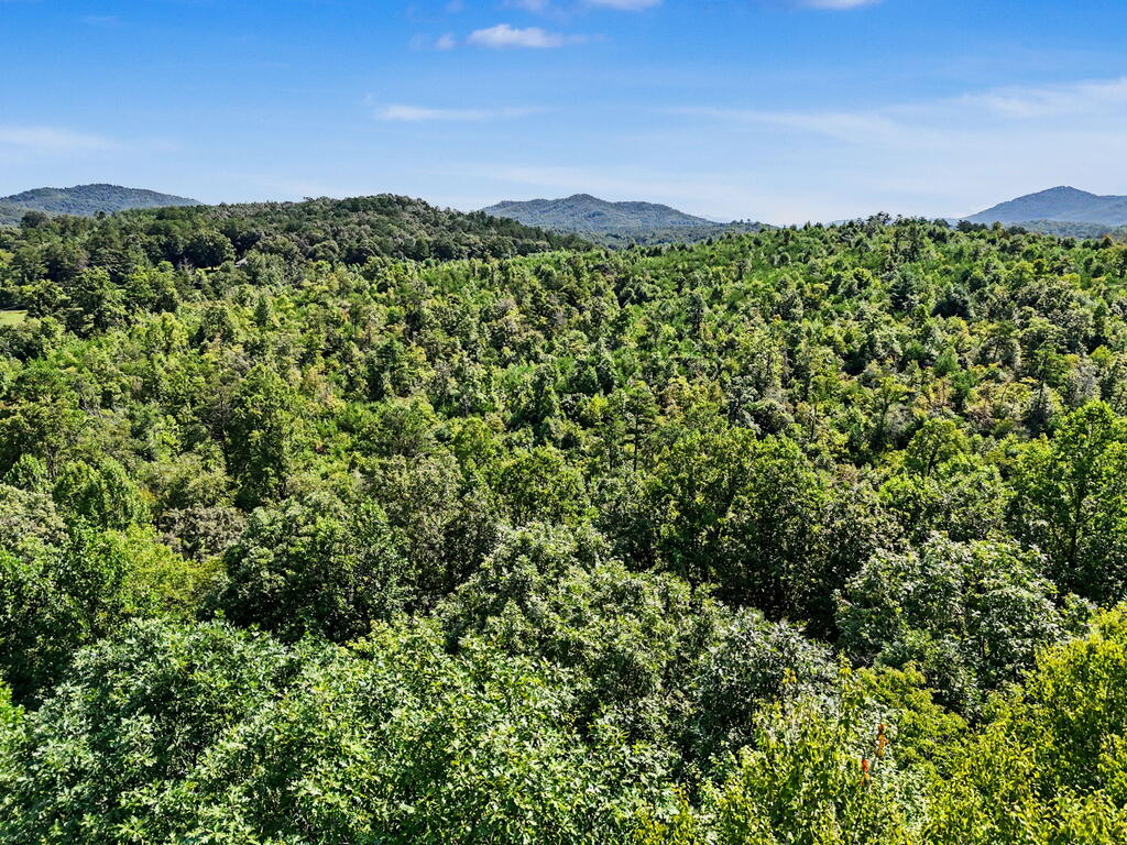 Lot 2 Brasstown Trails Property Photo 7