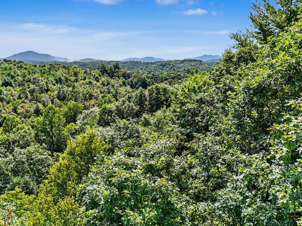 Lot 2 Brasstown Trails Property Photo 8