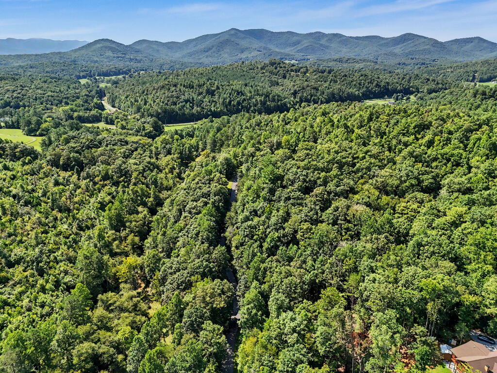 Lot 2 Brasstown Trails Property Photo 9