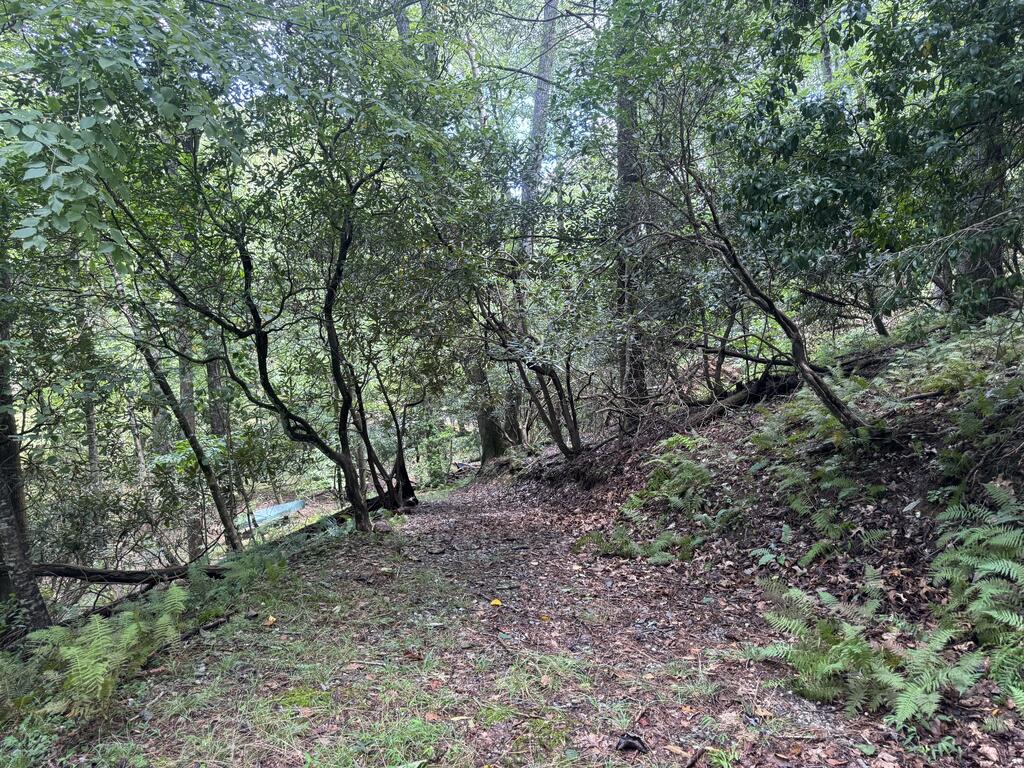 Lot 45 Gobbler Knob Property Photo 6