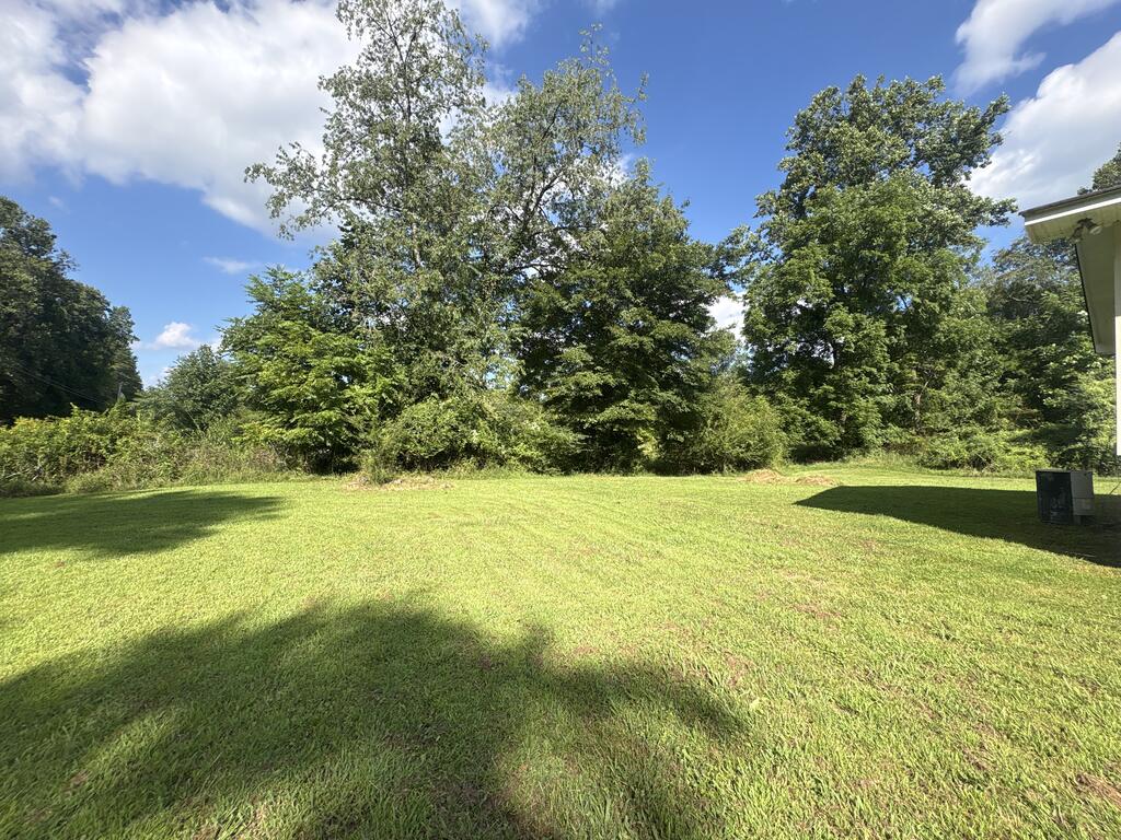 6090 Murphy Hwy Property Photo 2