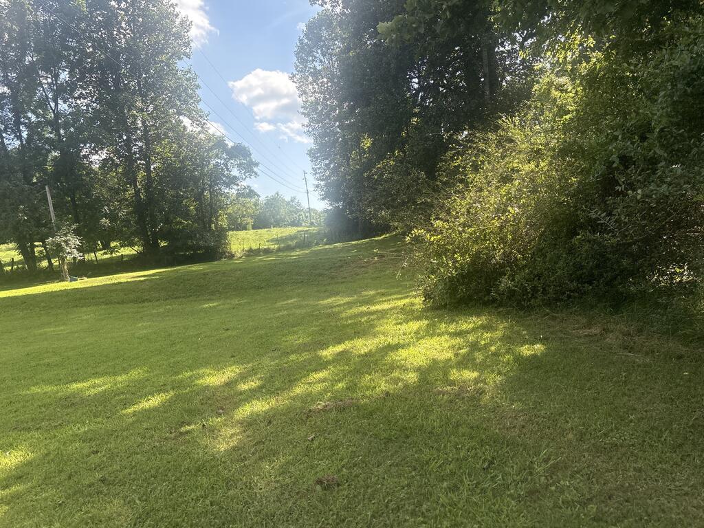 6090 Murphy Hwy Property Photo 12