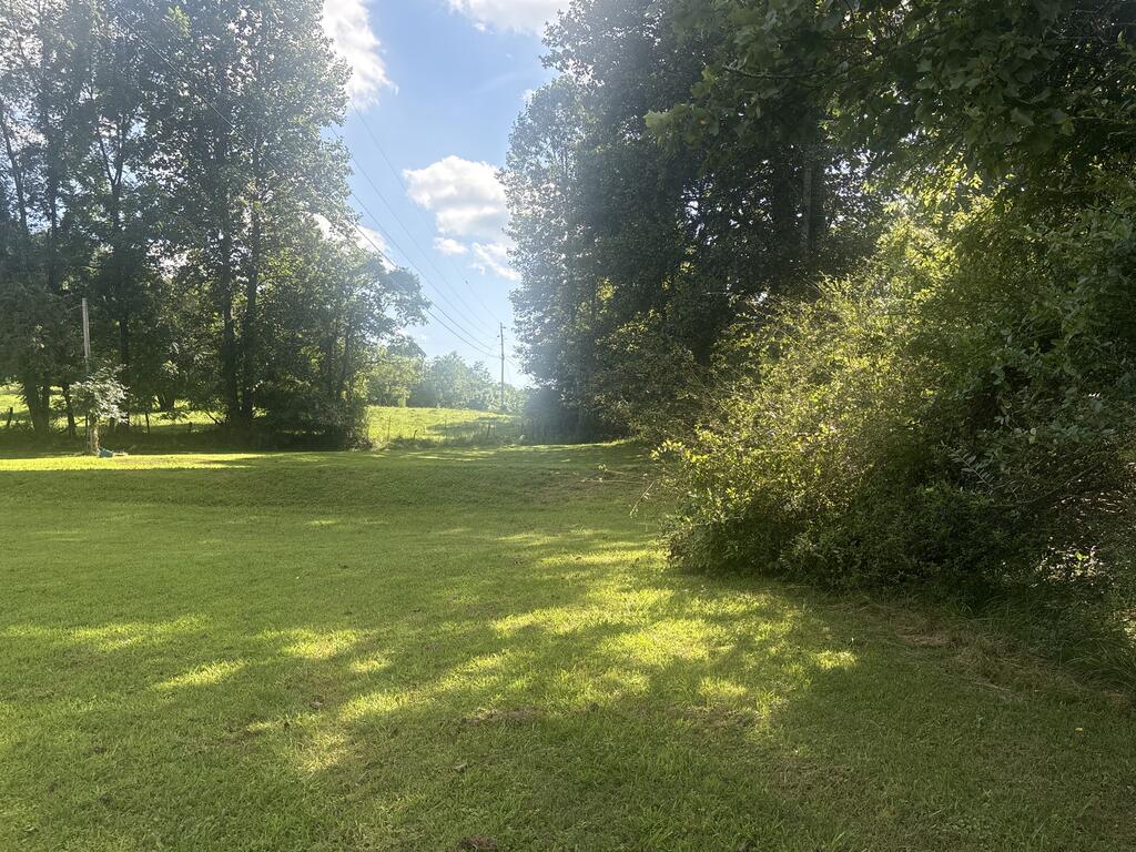 6090 Murphy Hwy Property Photo 13
