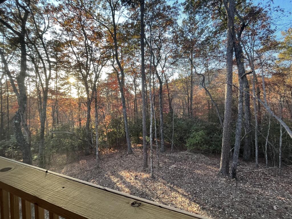 26 Carrolls Ridge Property Photo 2