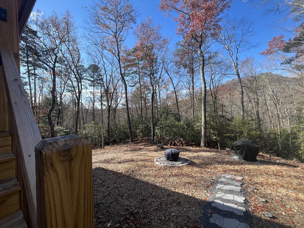 26 Carrolls Ridge Property Photo 33
