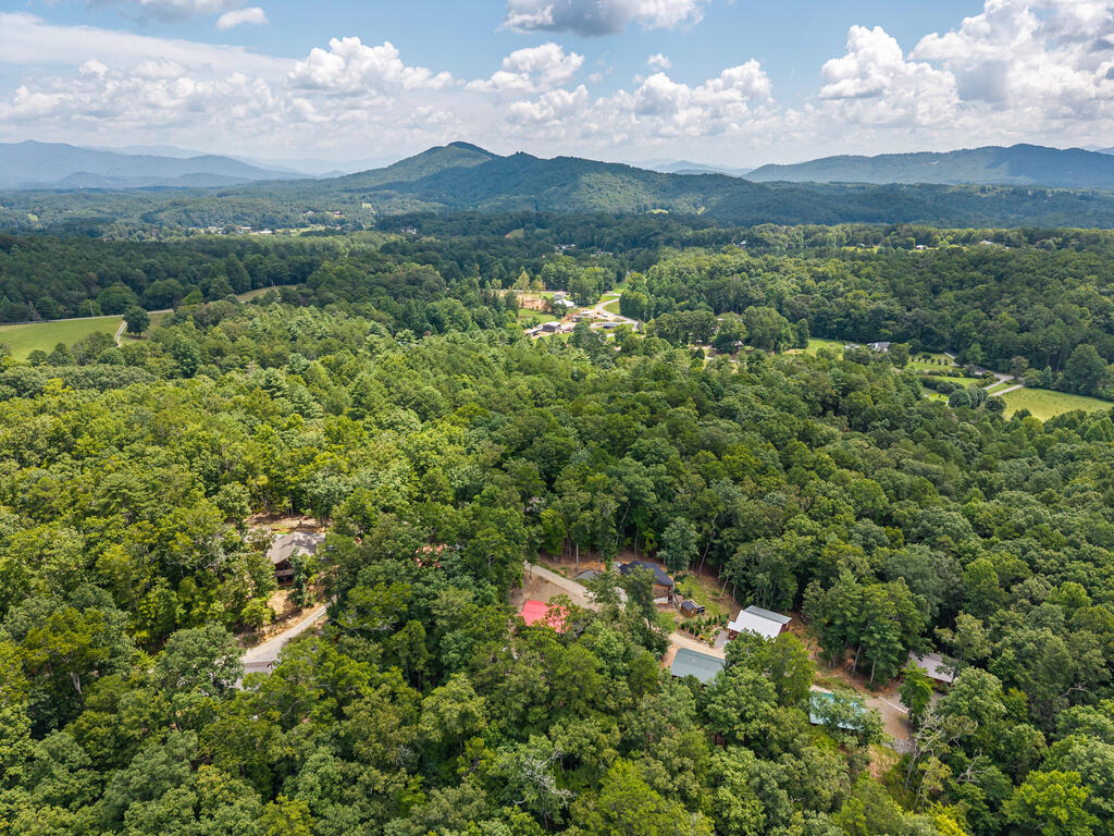 26 Carrolls Ridge Property Photo 36