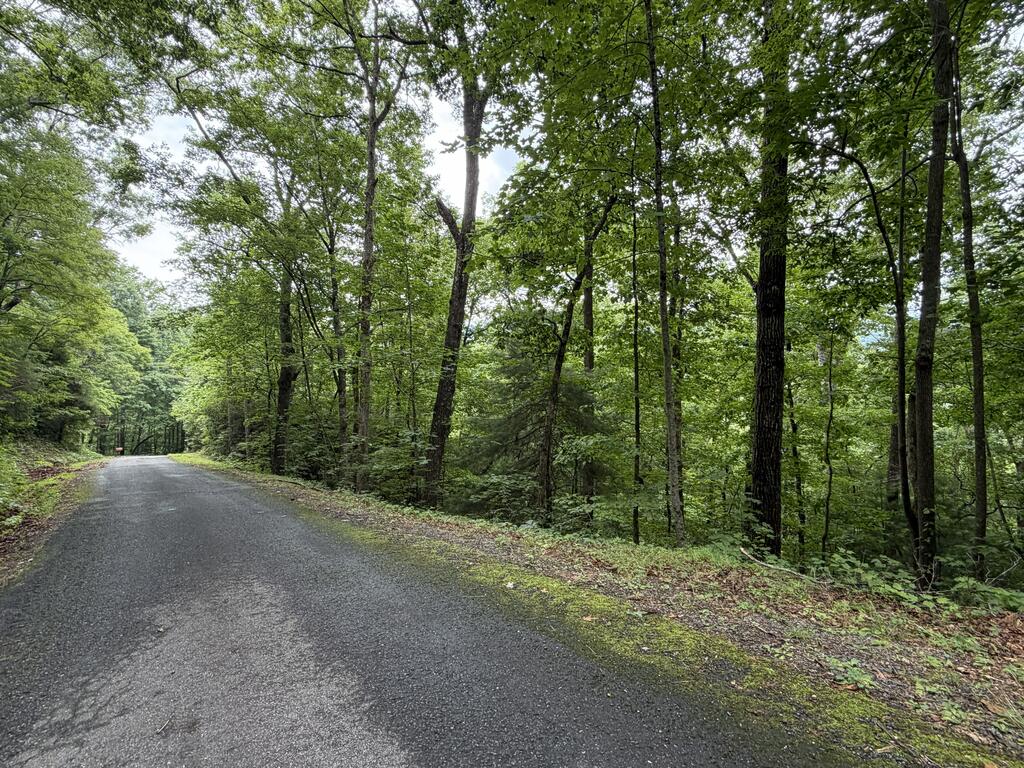 4.63 Twiggs Road Property Photo 1