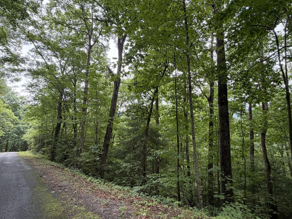 4.63 Twiggs Road Property Photo 10