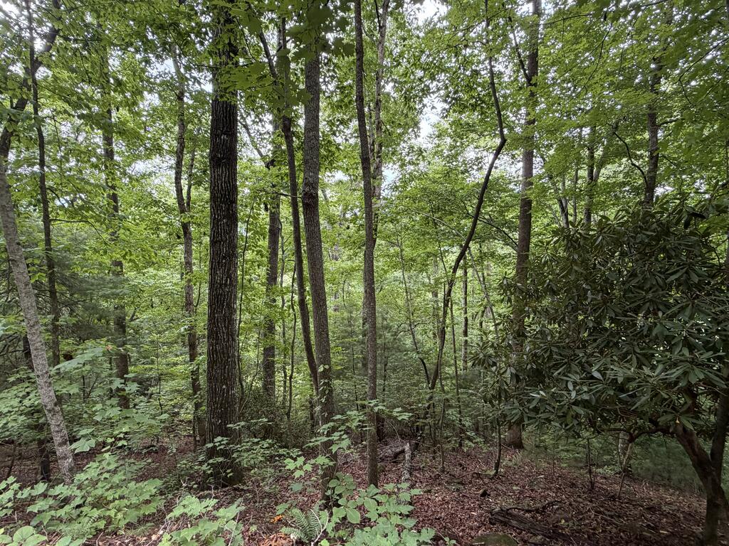 4.63 Twiggs Road Property Photo 12