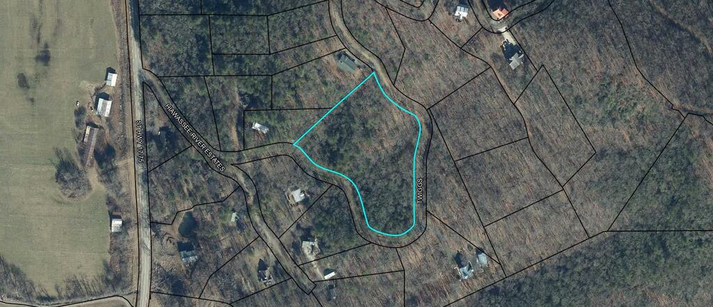 4.63 Twiggs Road Property Photo 20