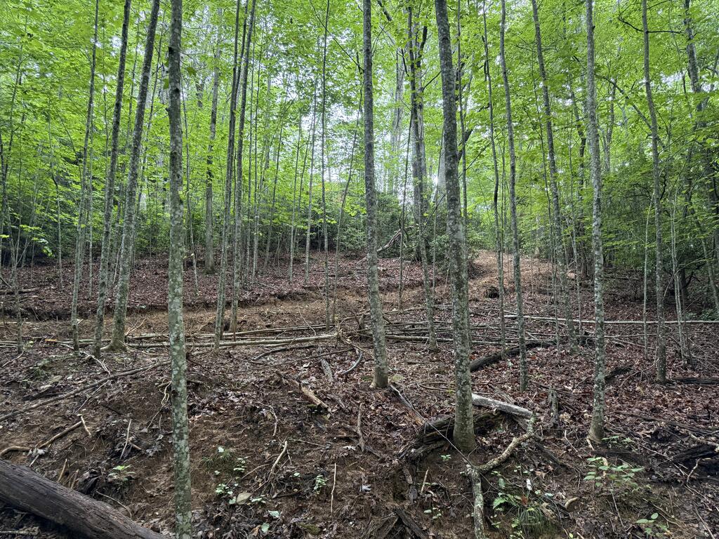 121 Surrey Trail Property Photo 8