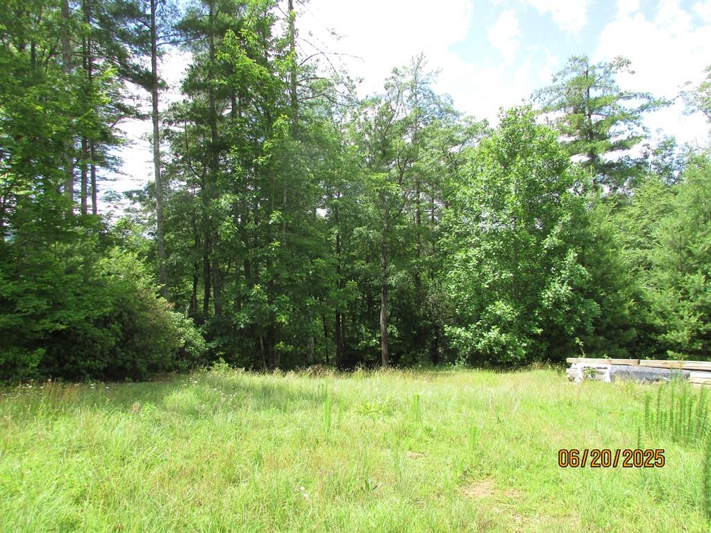 #10 Shelton Springs S/D Property Photo 1