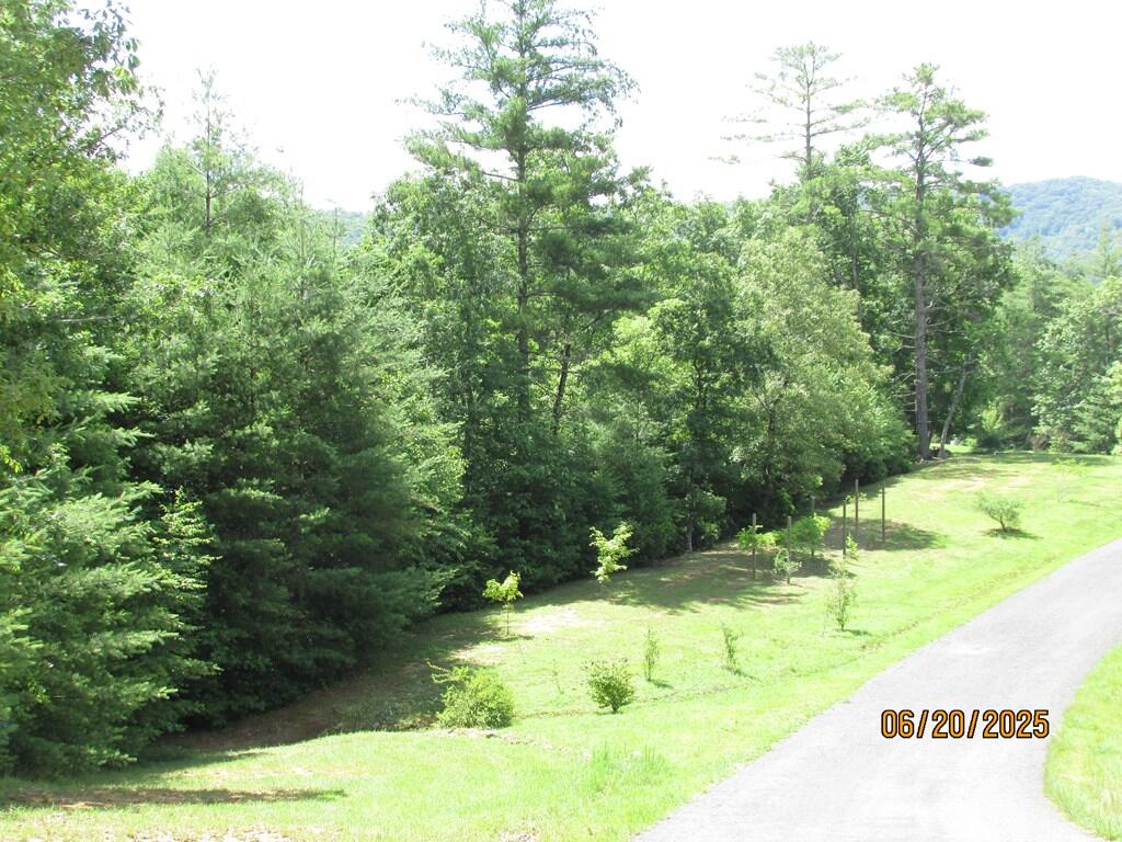 #34 Shelton Springs S/d Property Photo 2