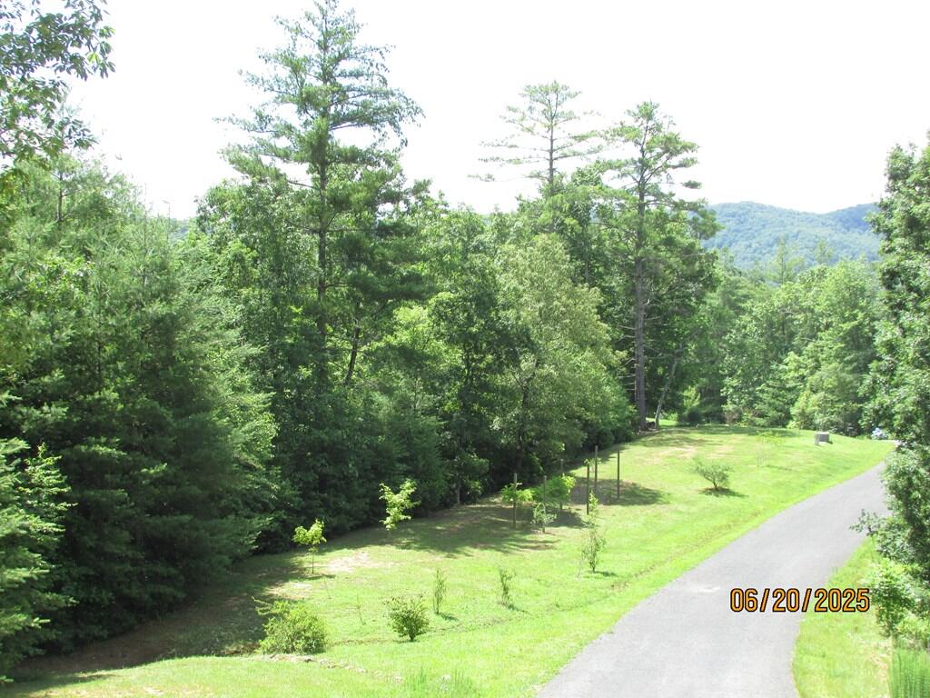 #34 Shelton Springs S/d Property Photo 3