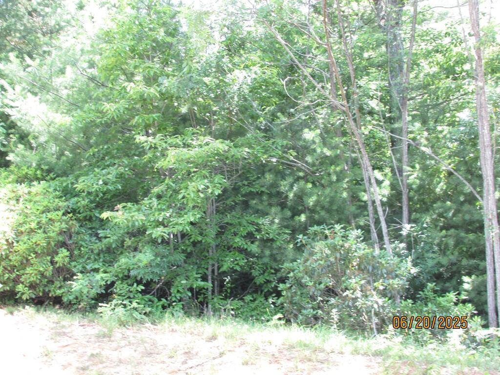 #34 Shelton Springs S/d Property Photo 4
