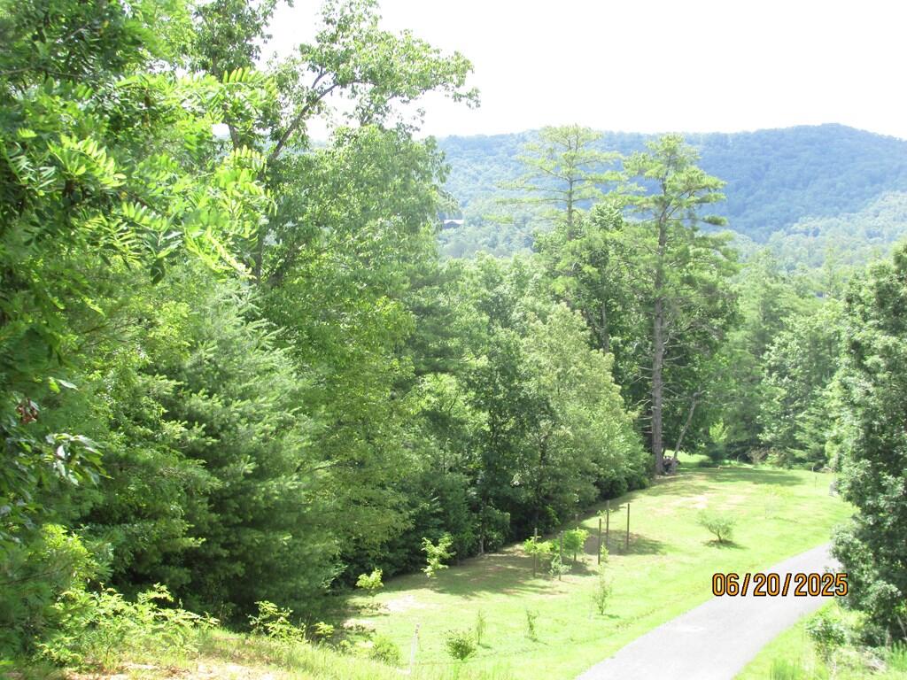 #34 Shelton Springs S/d Property Photo 7