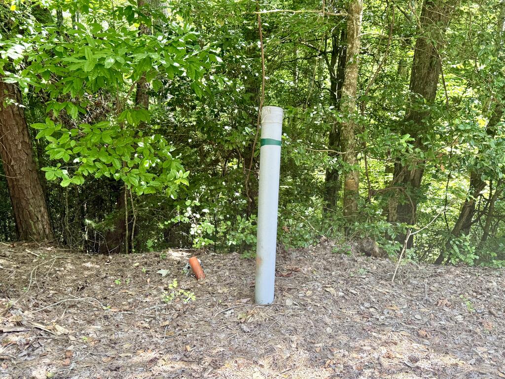 Lot 8 Wild Laurel Property Photo 8