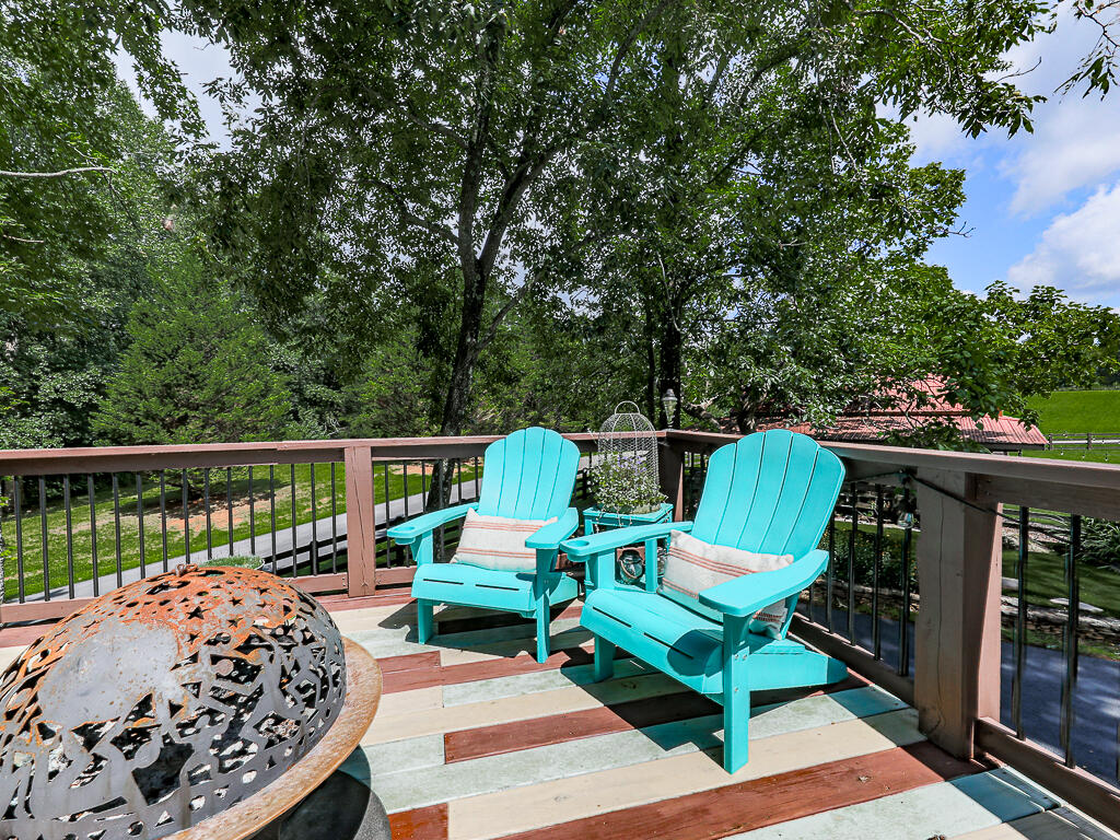 201 Mountainside Parkway Property Photo 118