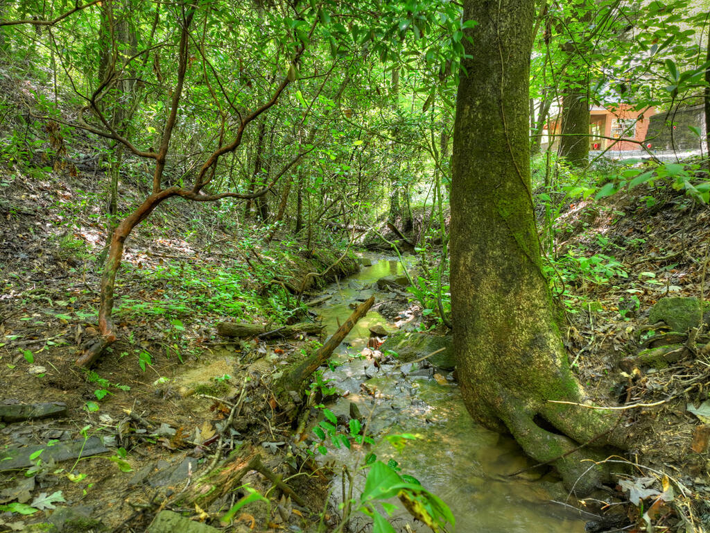 46 Private Drive Property Photo 67