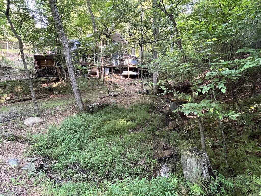 1543 Tipton Springs Road Property Photo 3