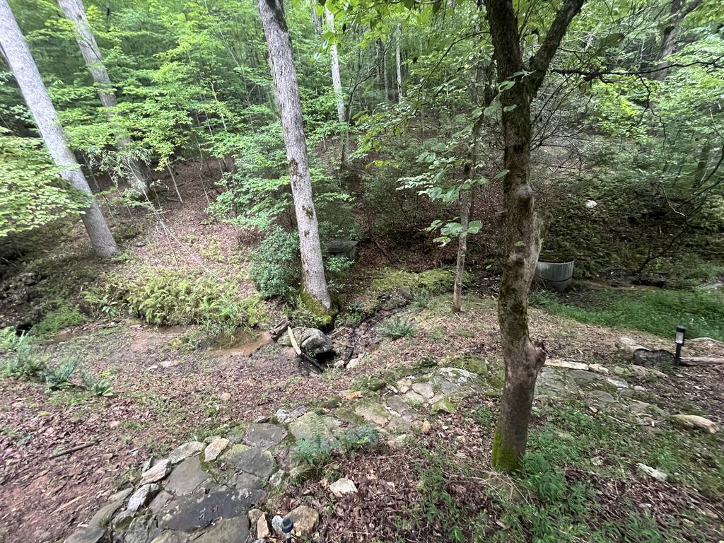 1543 Tipton Springs Road Property Photo 21