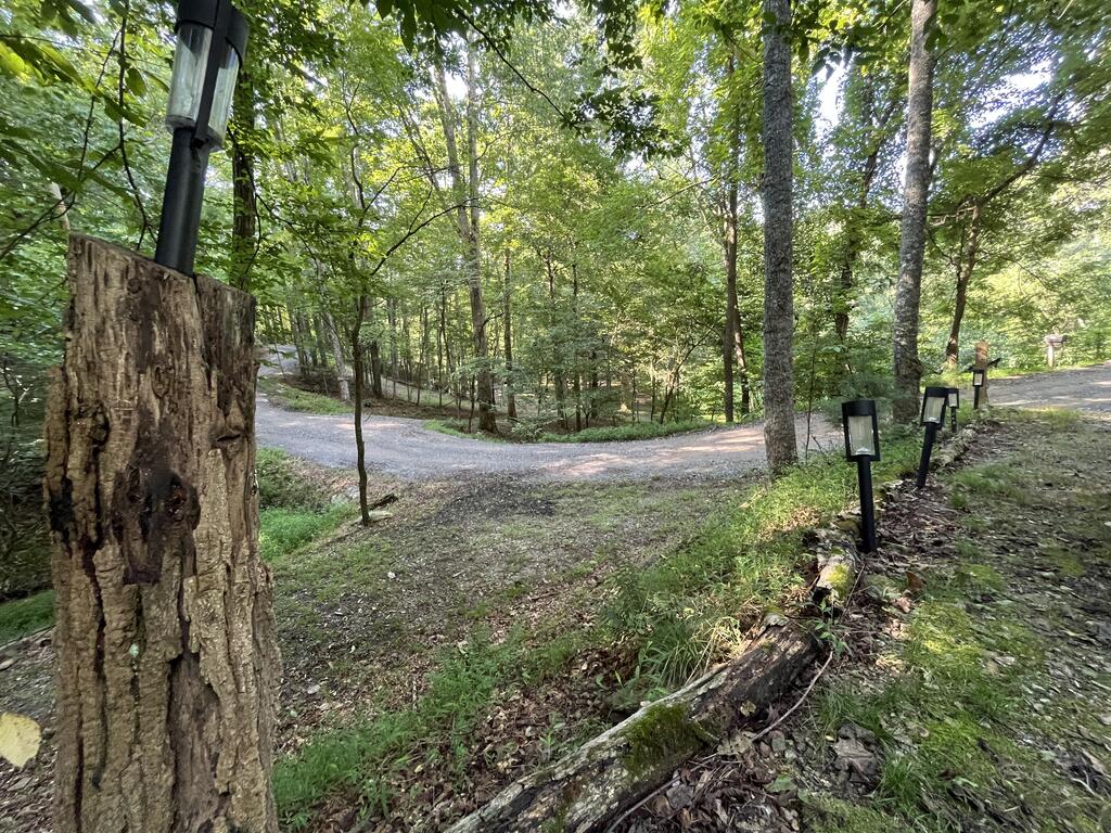 1543 Tipton Springs Road Property Photo 24