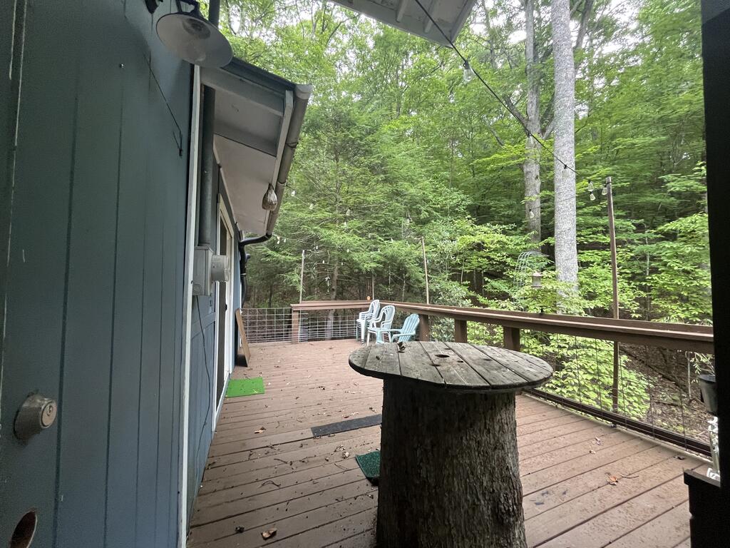 1543 Tipton Springs Road Property Photo 26