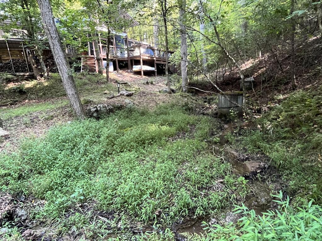 1543 Tipton Springs Road Property Photo 34