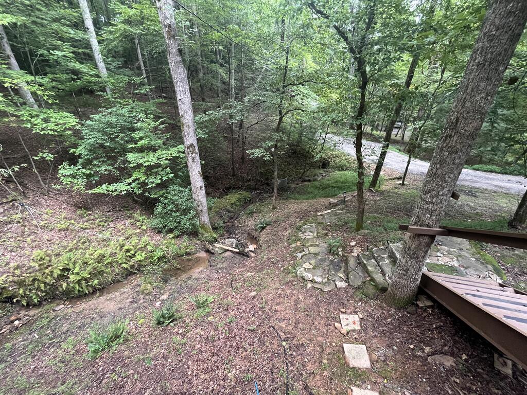 1543 Tipton Springs Road Property Photo 35