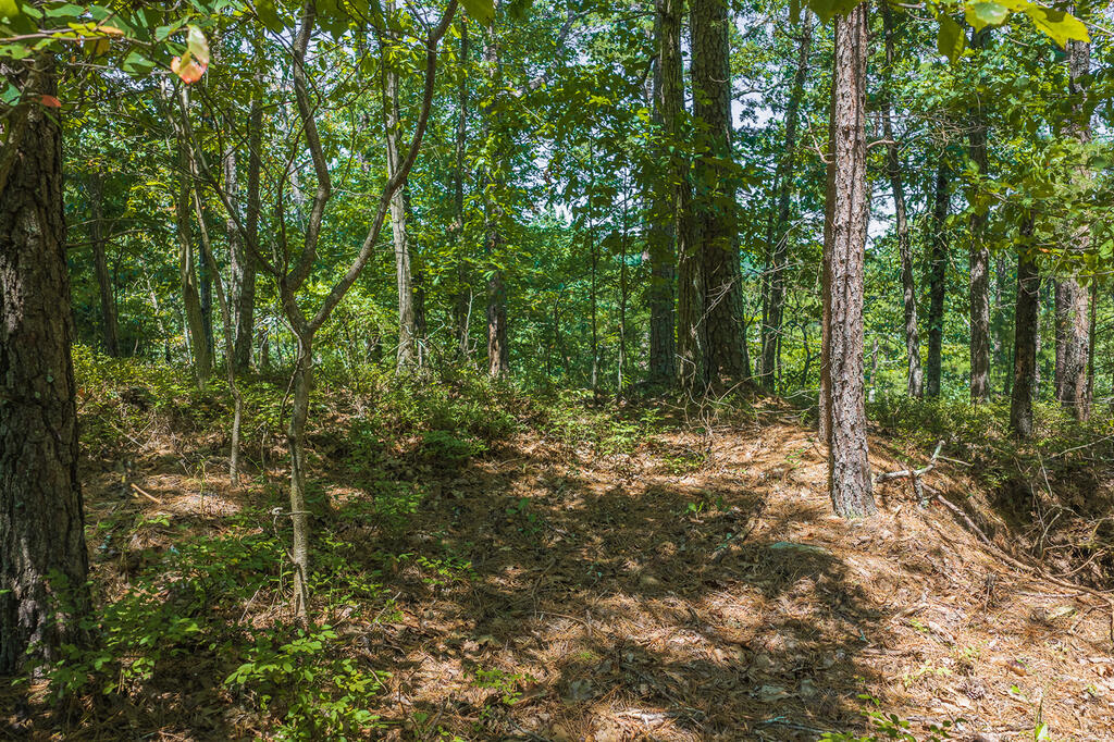 694-695 Railey Ridge Property Photo 6