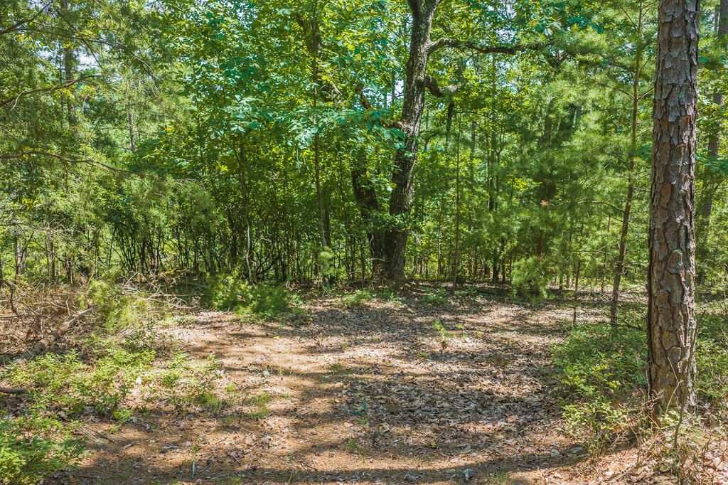 694-695 Railey Ridge Property Photo 7