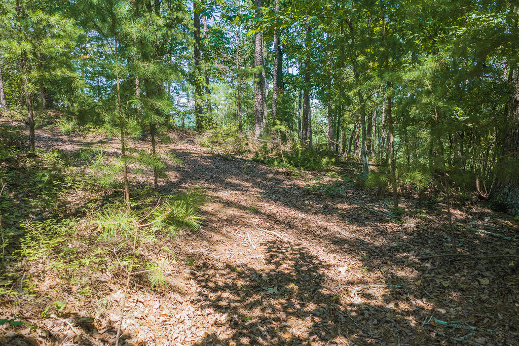 694-695 Railey Ridge Property Photo 8