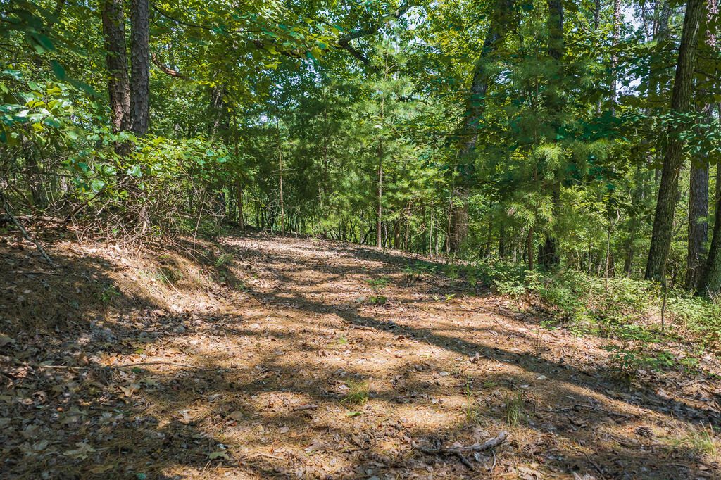 694-695 Railey Ridge Property Photo 9