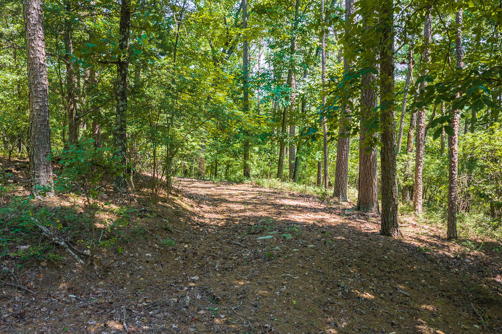 694-695 Railey Ridge Property Photo 10