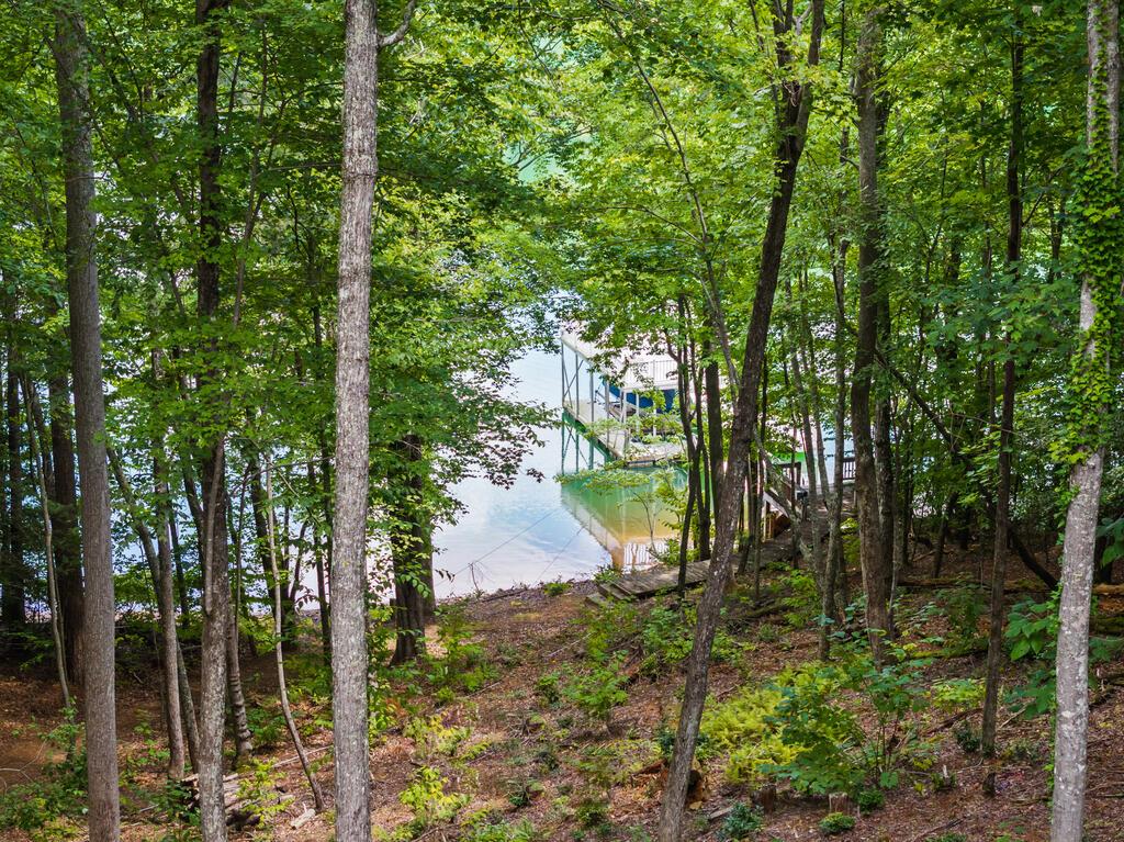 281 Pine Cone Road Property Photo 42
