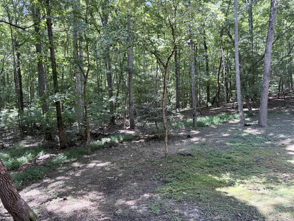 91 Hawks Nest Property Photo 31