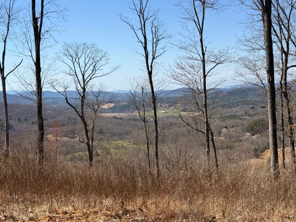 Lot 25 Grand Laurel Property Photo 5