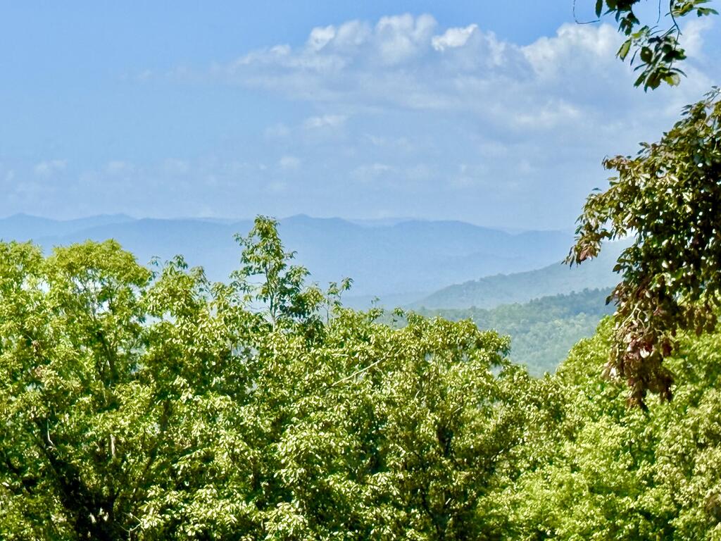 Lot 25 Grand Laurel Property Photo 8