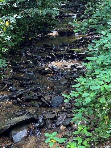 00 Seven Springs Road
