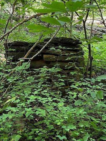 00 Seven Springs Road Property Photo 3