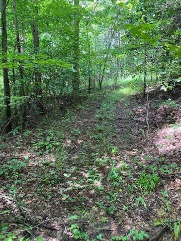 00 Seven Springs Road Property Photo 12