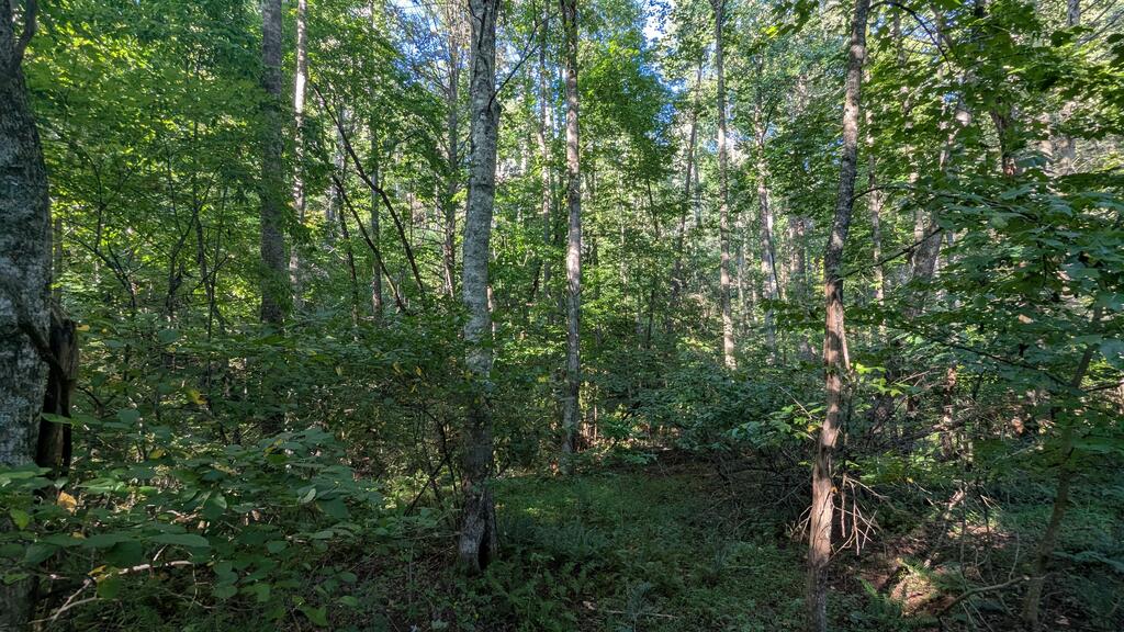 435369 Property Photo 14