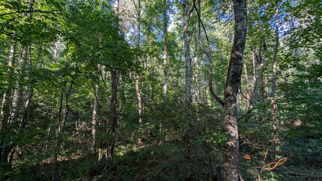 435369 Property Photo 18