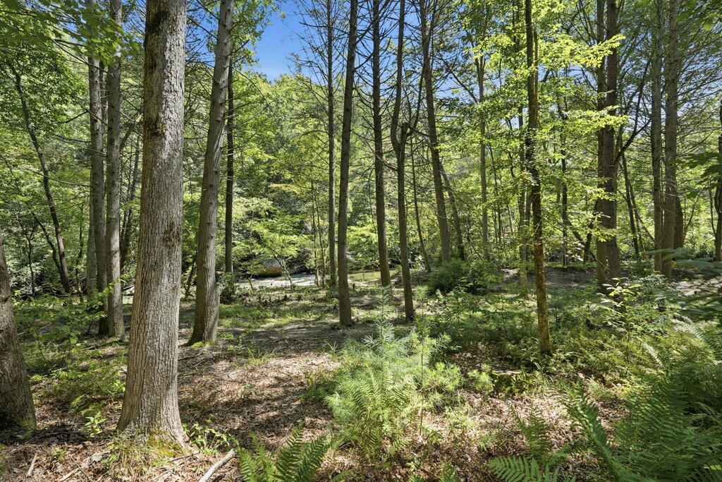 123 Merrimac Pointe Property Photo 5