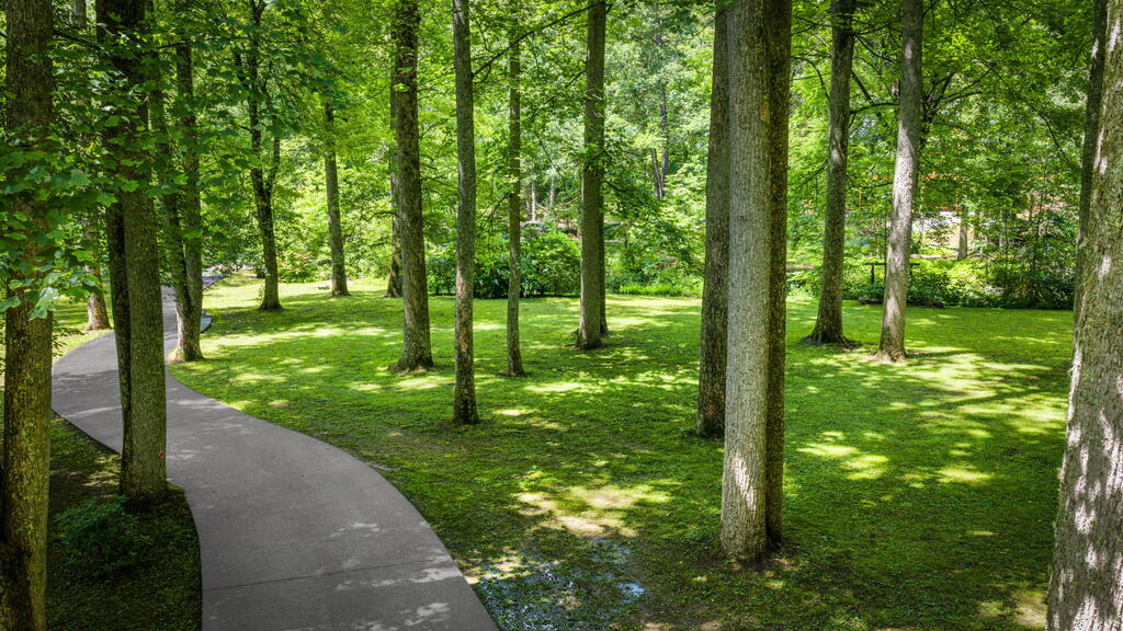2977 Hwy 2 Property Photo 54