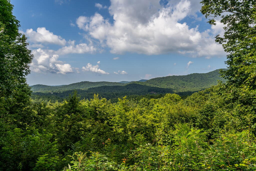 11 Amy Creek Property Photo 22