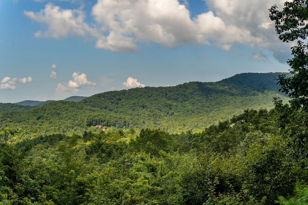 11 Amy Creek Property Photo 62