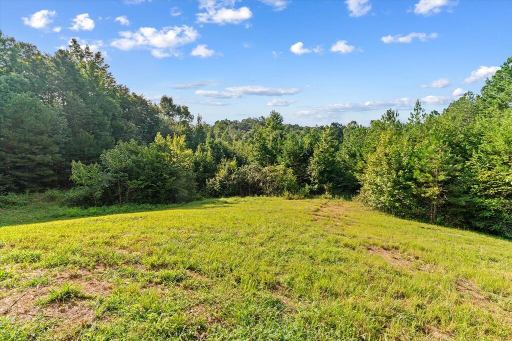 1237 North Pass Property Photo 28