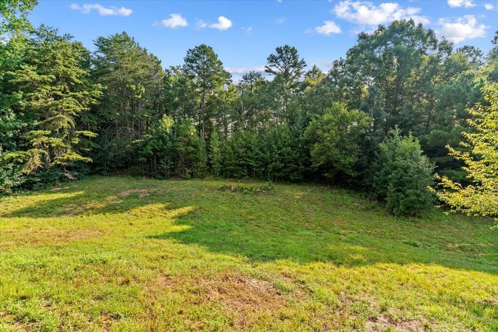 1237 North Pass Property Photo 29
