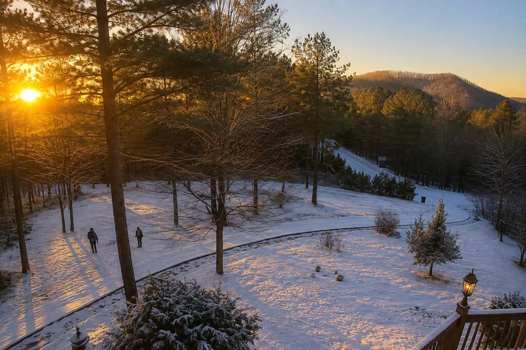 270 Black Bear Ridge Road Property Photo 33